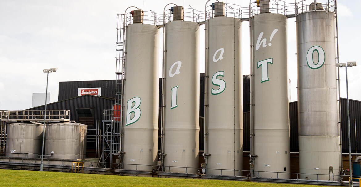 Bisto Chimneys