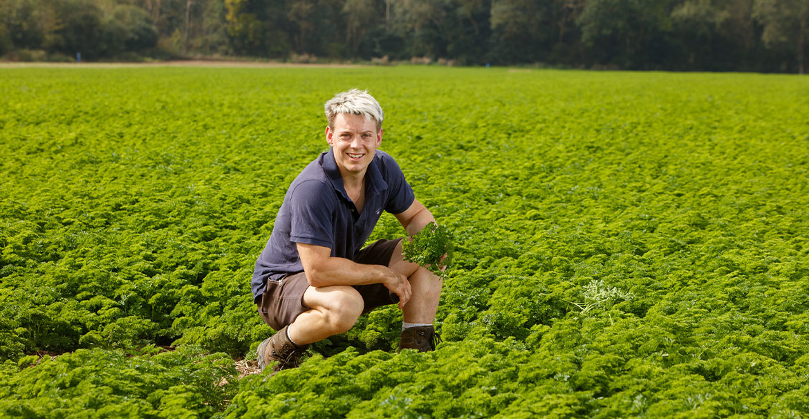 Farmer in Parsley field