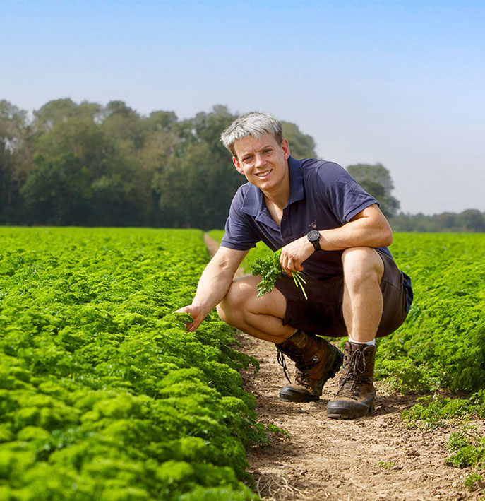 Batchelor's - Man in field