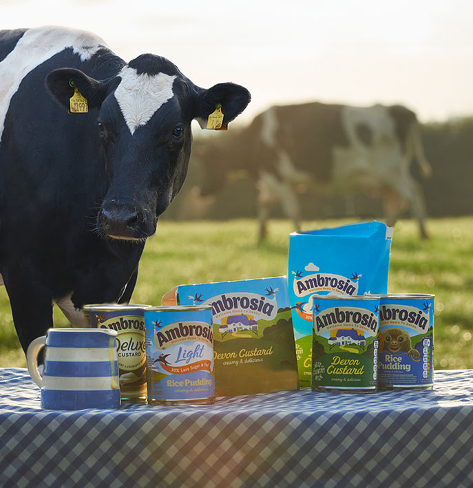 Ambrosia brands and cow