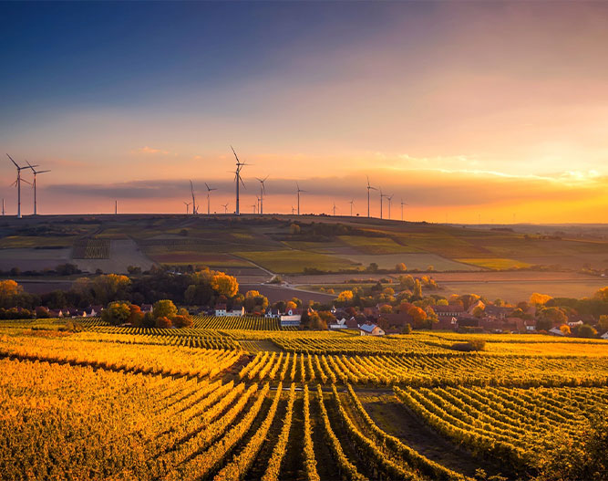 Windfarm and filed - autumn colours