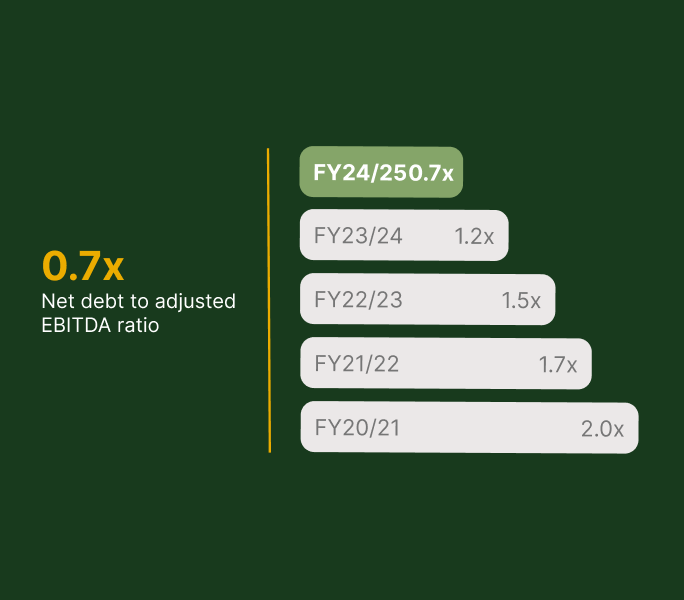 Net debt to adjusted EBITDA ratio