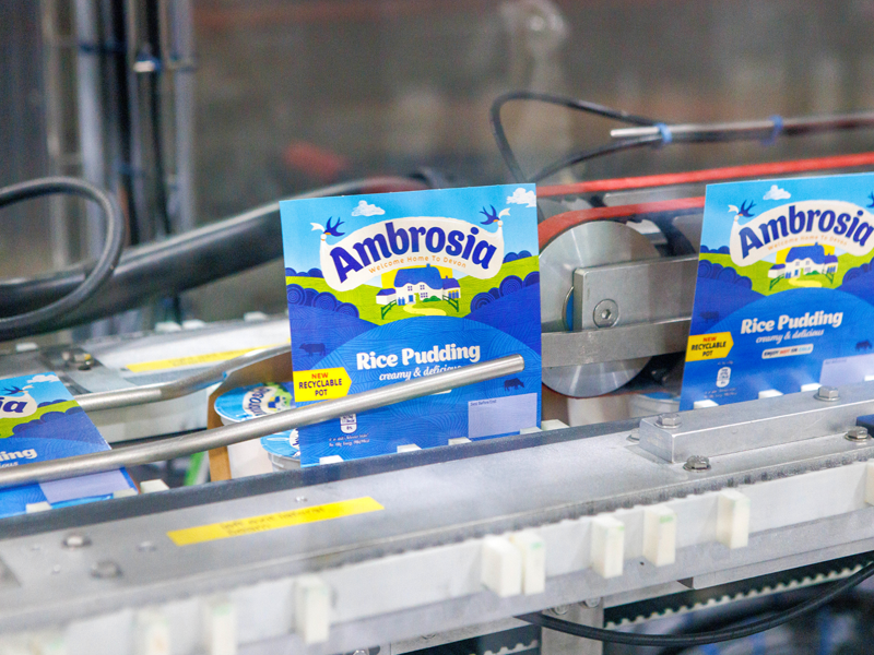 ambrosia recyclable pots